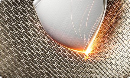 ДОЛГОВЕЧНЫЙ 